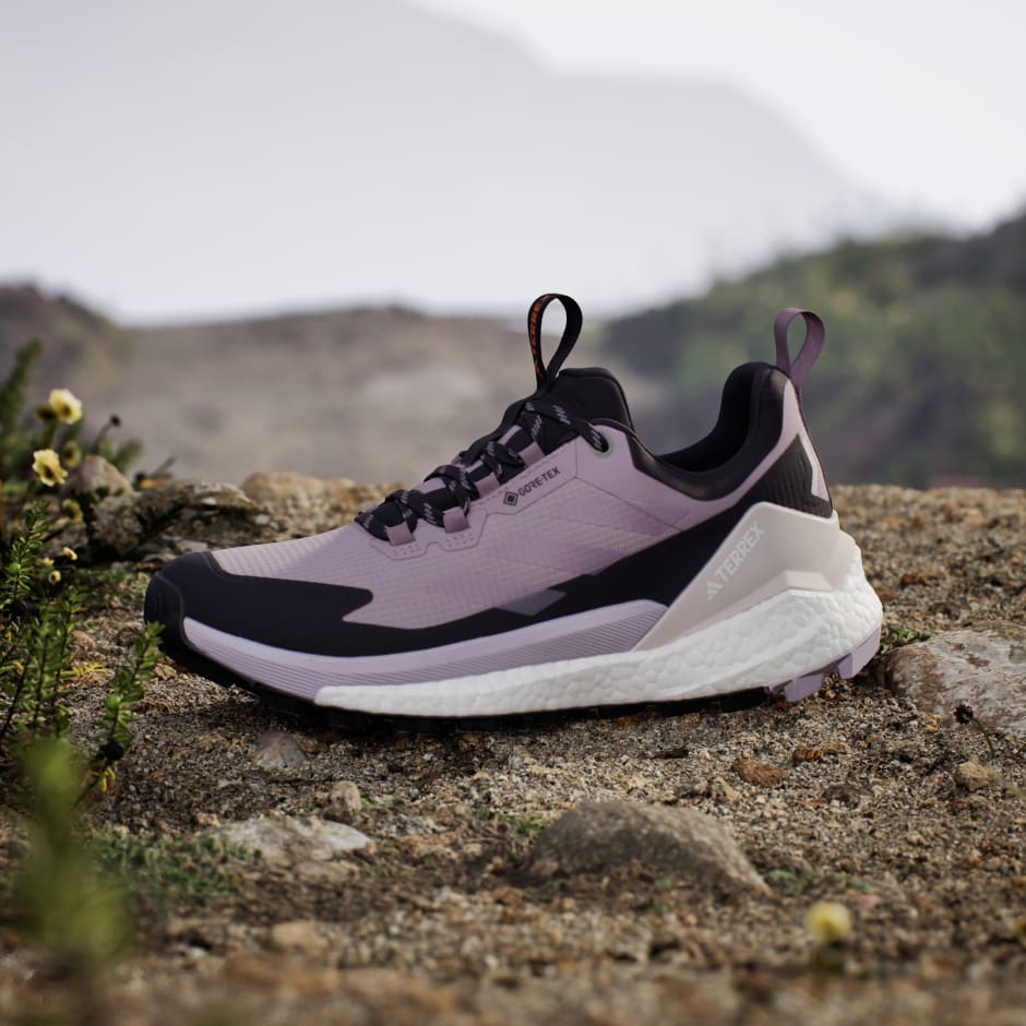 Planinarske cipele Terrex Free Hiker 2.0 Low Gore-Tex