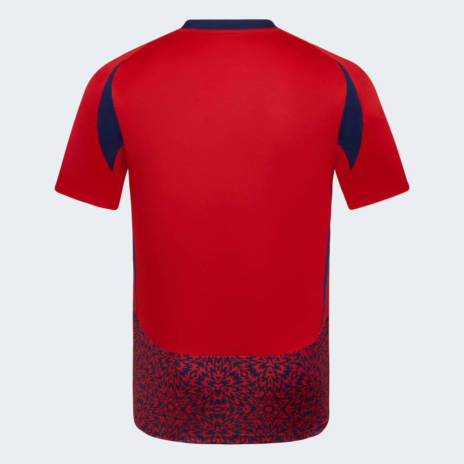 CAMISETA LOCAL FCRF 24