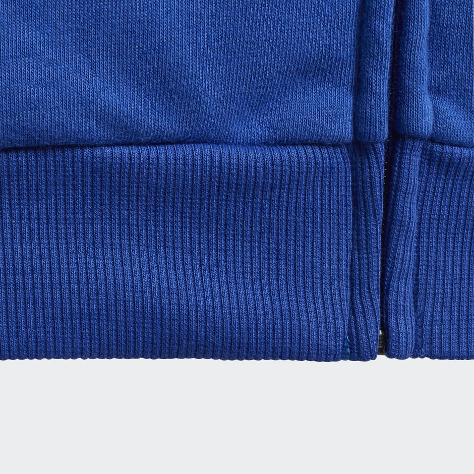 Colorblock Big Badge of Sport Track Suit