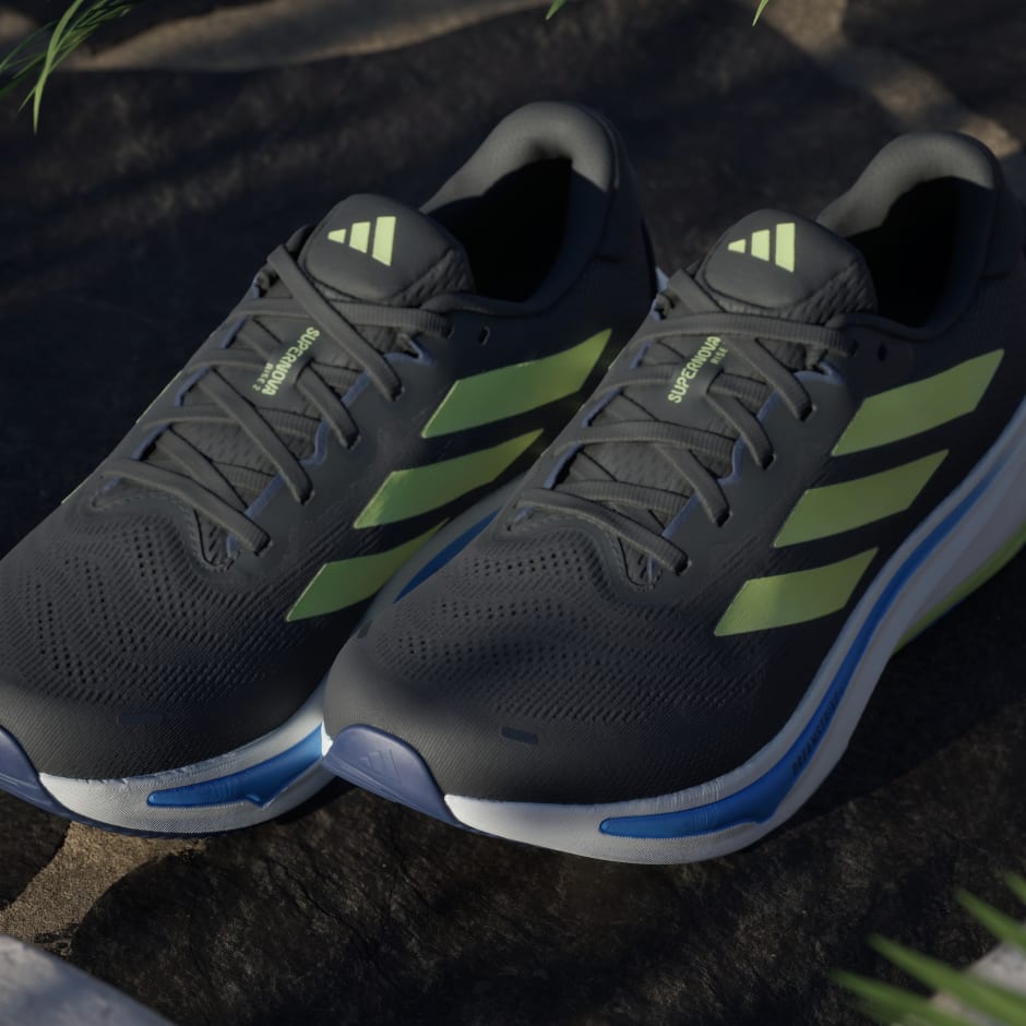 Chaussure de running Supernova Rise 2