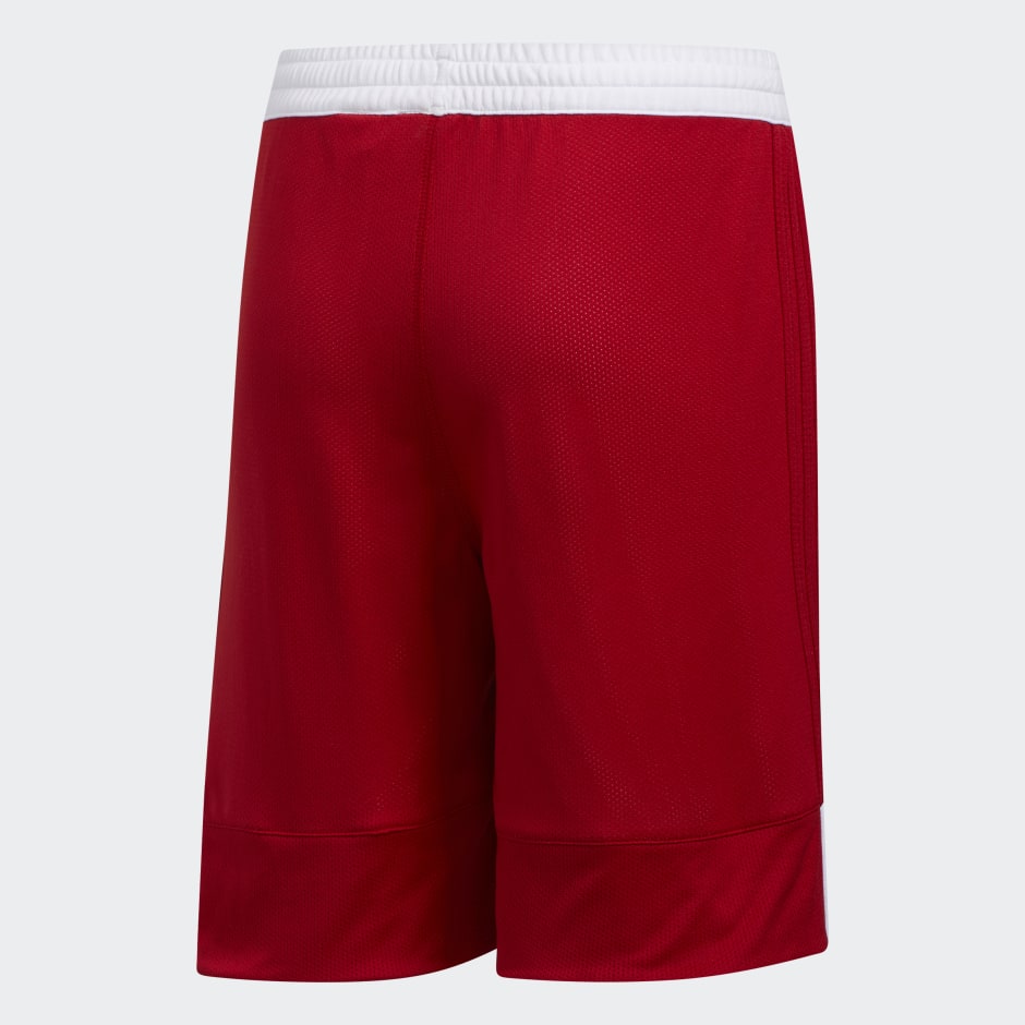 3G Speed Reversible Shorts