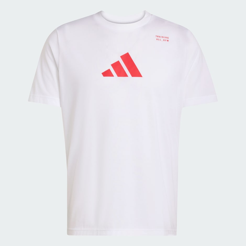 camiseta Graphic Category Training CLIMACOOL