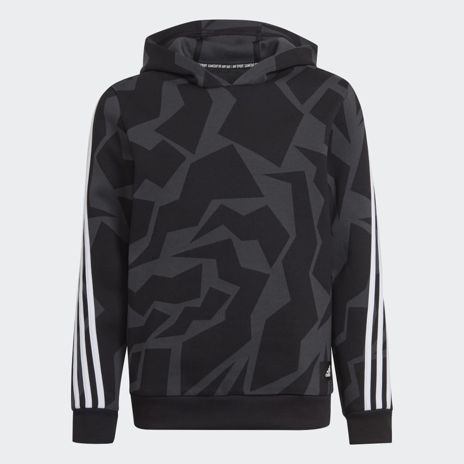 Future Icons 3-Stripes Graphic Hoodie