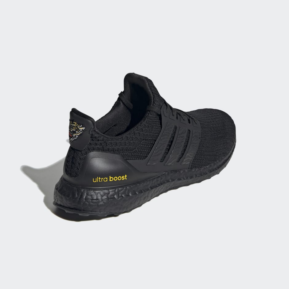 Ultraboost 4 DNA Shoes
