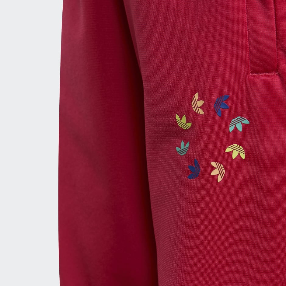 Adicolor Track Suit