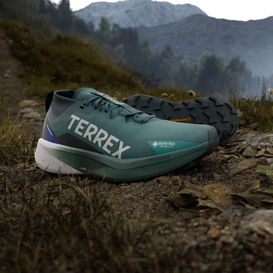 Tenisice za trail trčanje Terrex Agravic GTX