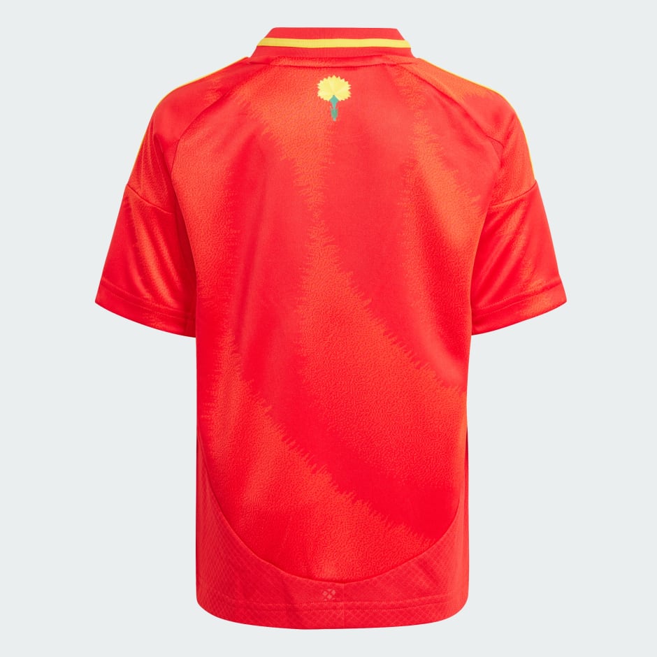 Spain 24 Home Mini Kit