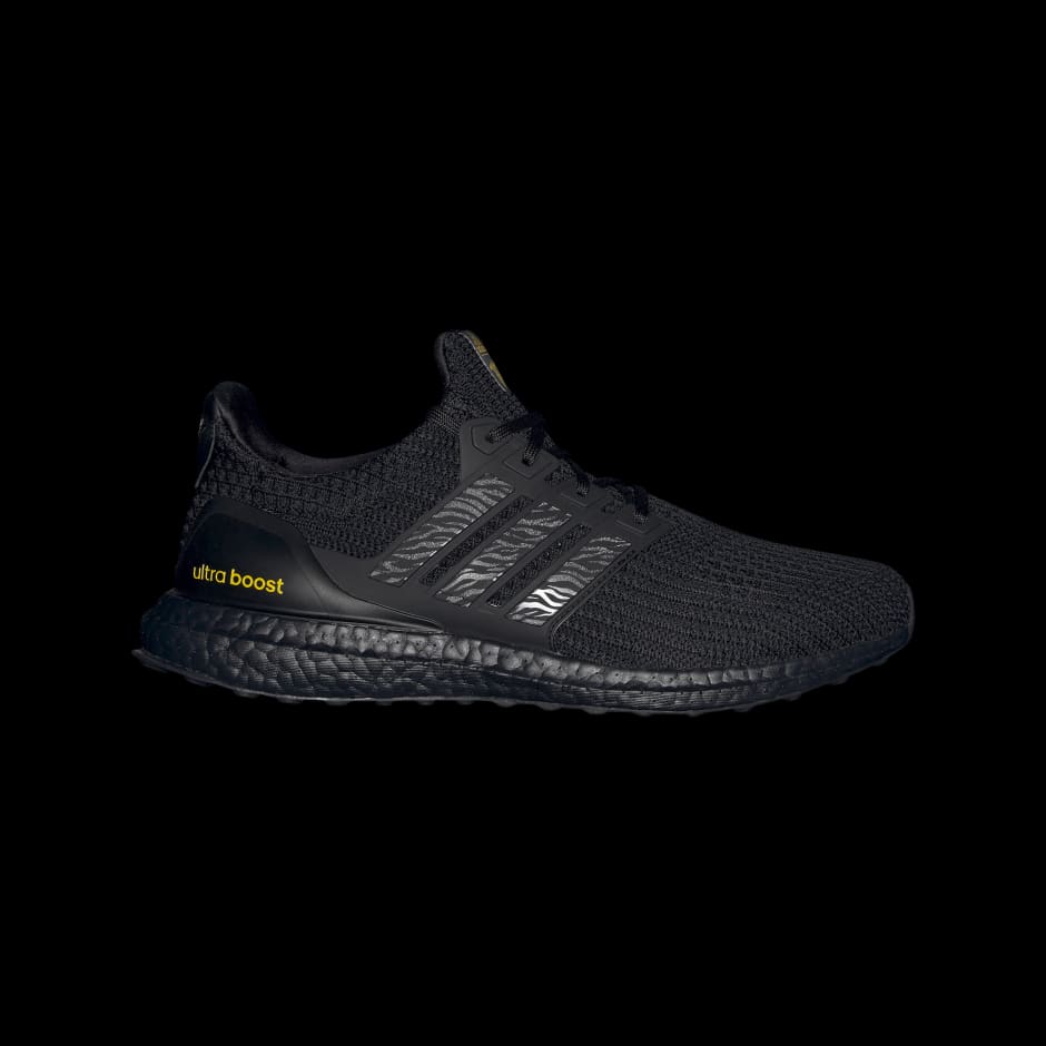 Ultraboost 4 DNA Shoes