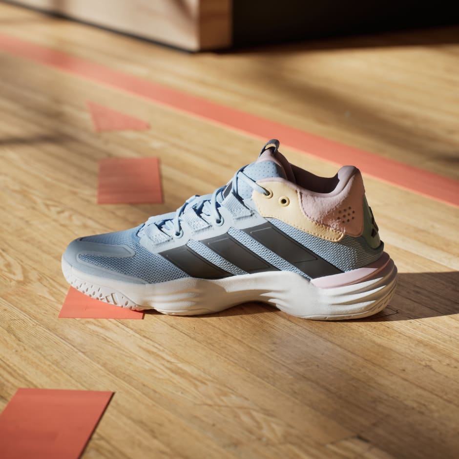 Pantofi de interior Court Stabil