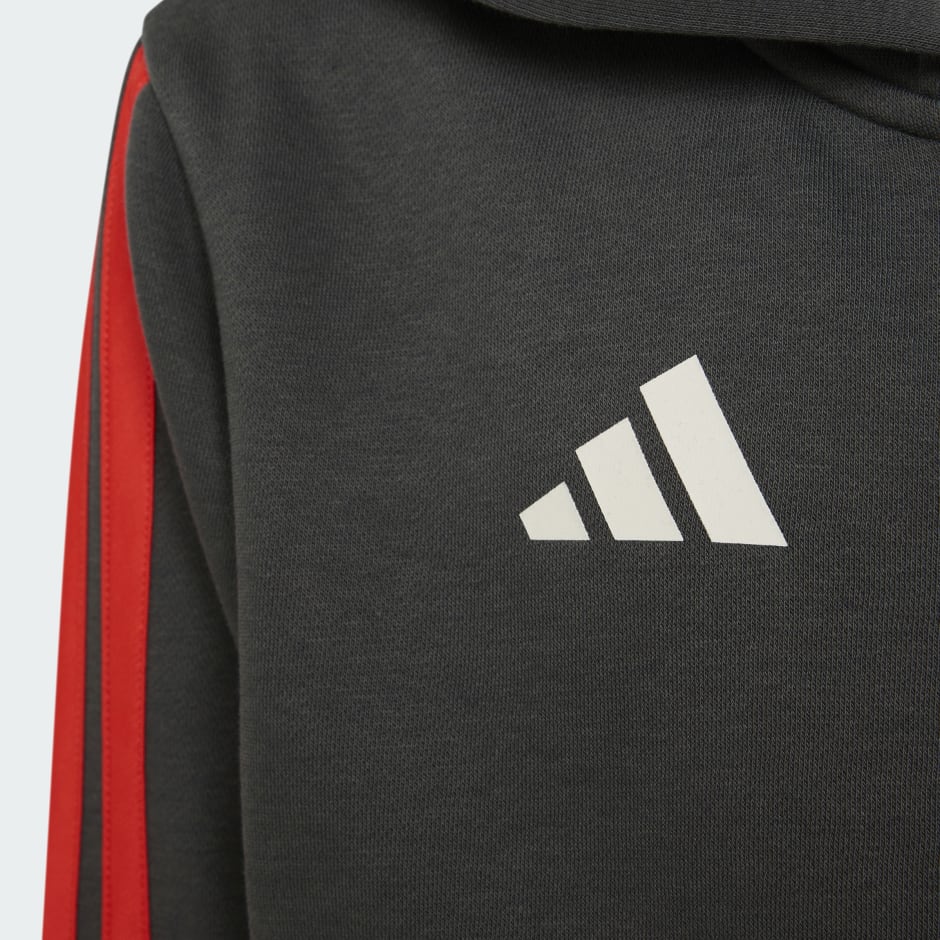 HANORAC PENTRU TINERI AUDI FORMULA ONE TEAM DNA CU FERMOAR COMPLET