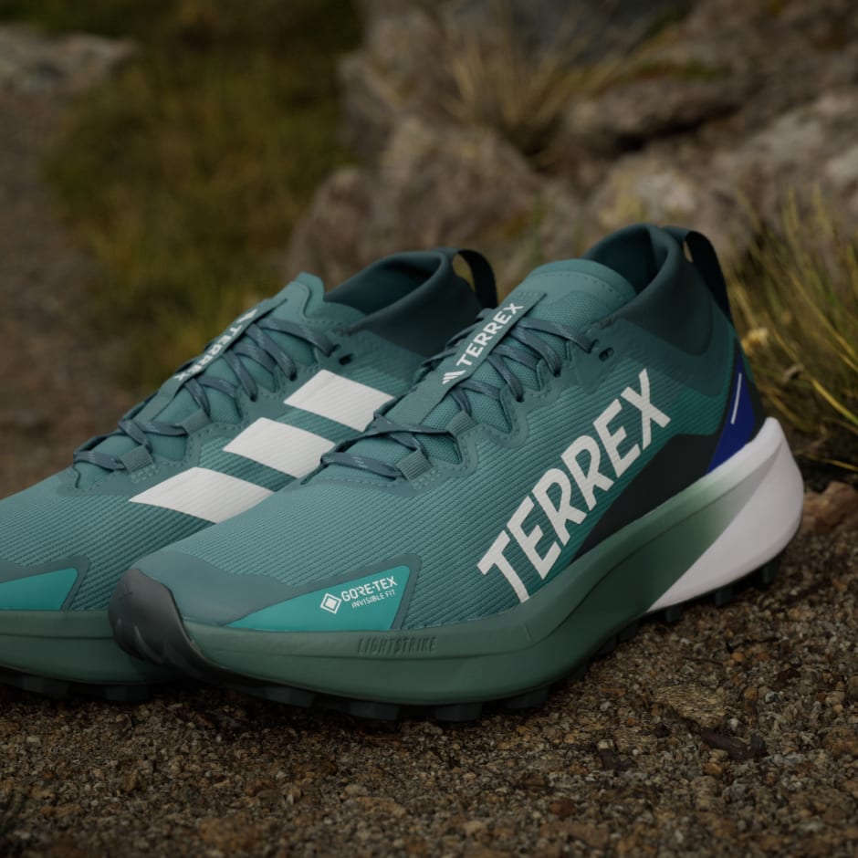 Tenisice za trail trčanje Terrex Agravic GTX