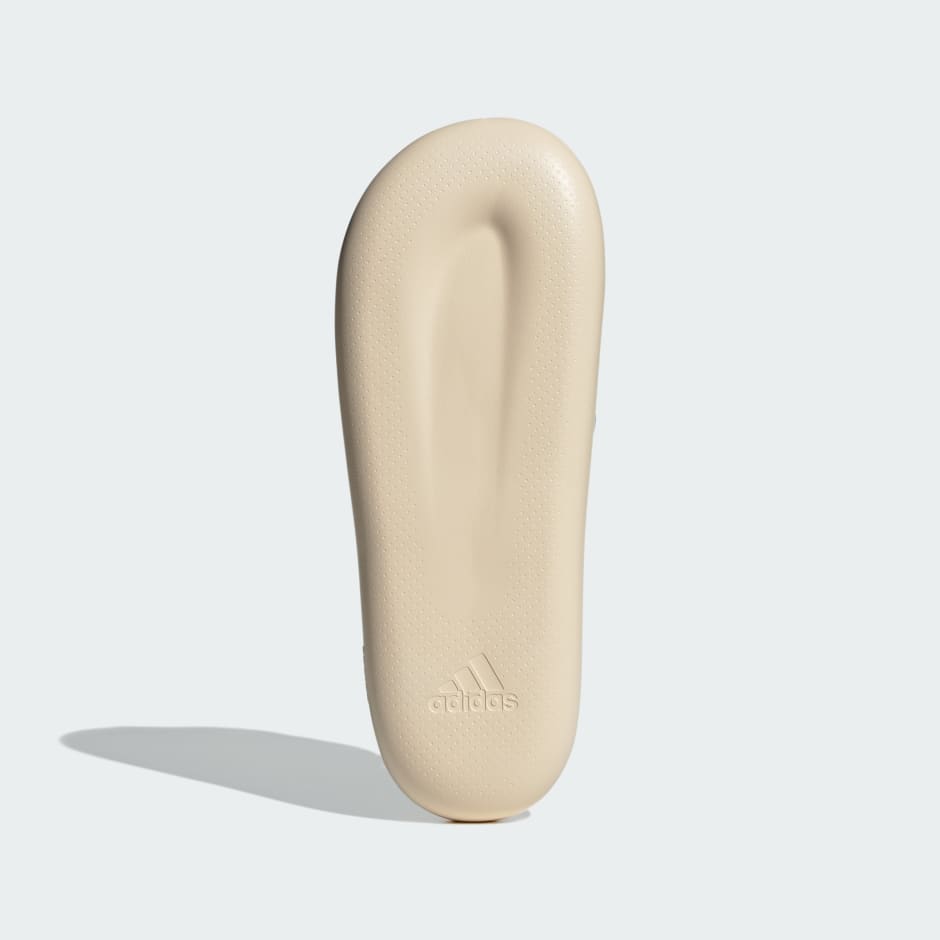 ZPLAASH Slides