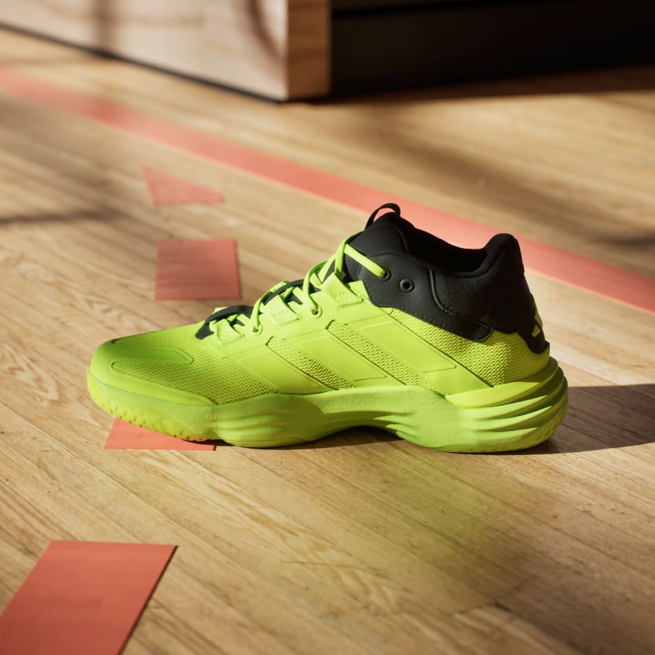 Pantofi de interior Court Stabil