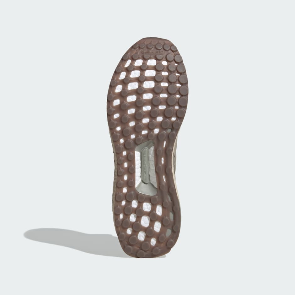 Chaussure Ultraboost 1.0