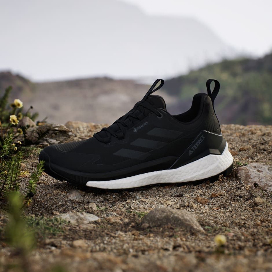 Planinarske cipele Terrex Free Hiker 2.0 Low Gore-Tex