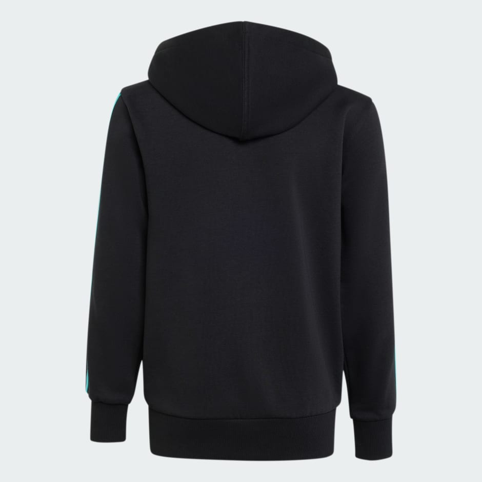 MERCEDES - AMG PETRONAS FORMULA 1 TEAM DNA FULL ZIP HOODY