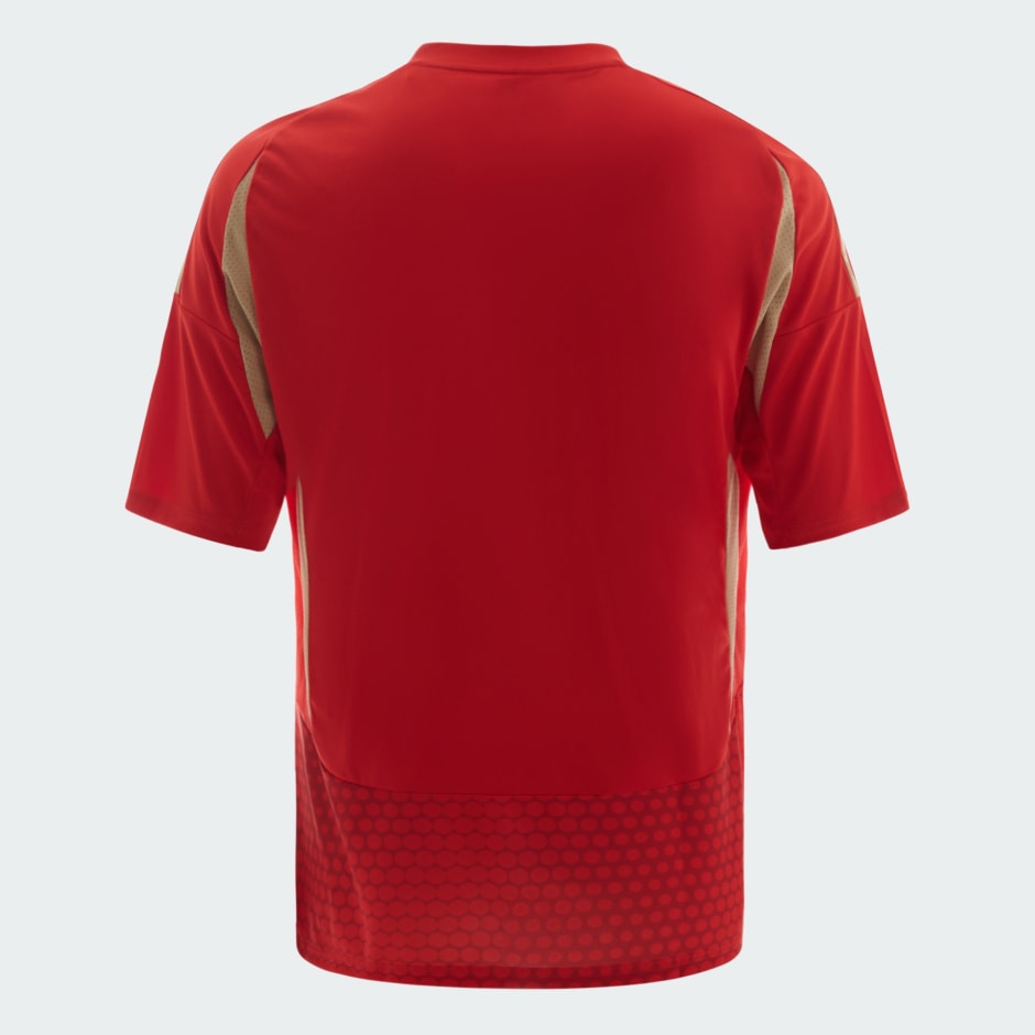 AL AHLY HOME JERSEY YOUTH