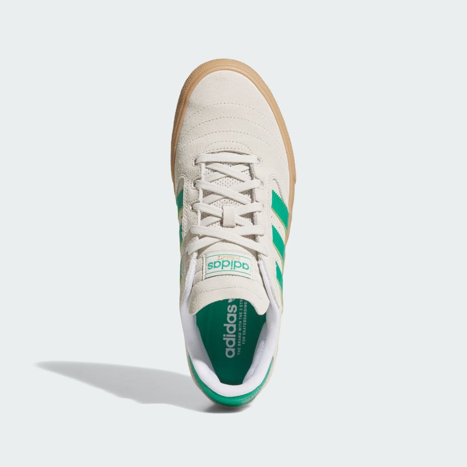 Pantofi Busenitz Vulc II