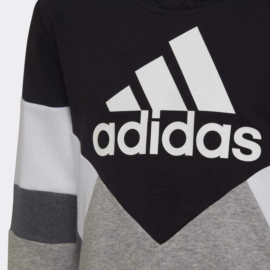 Colorblock Fleece Hoodie