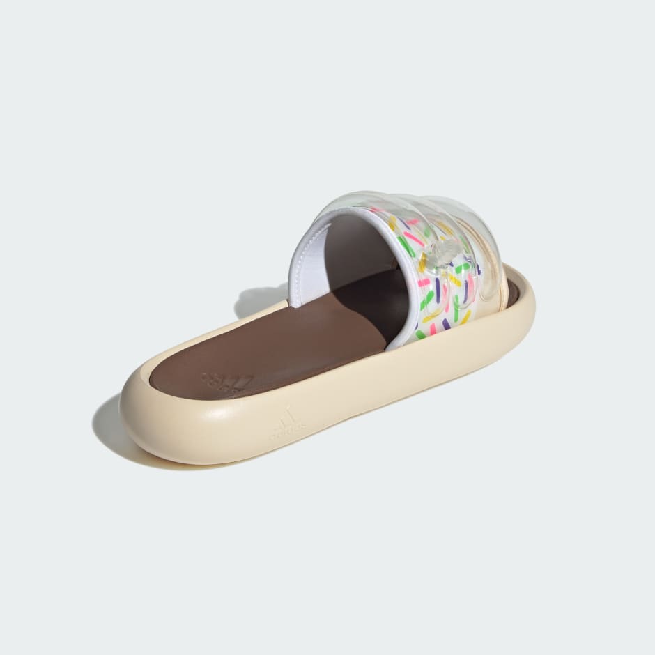 ZPLAASH Slides