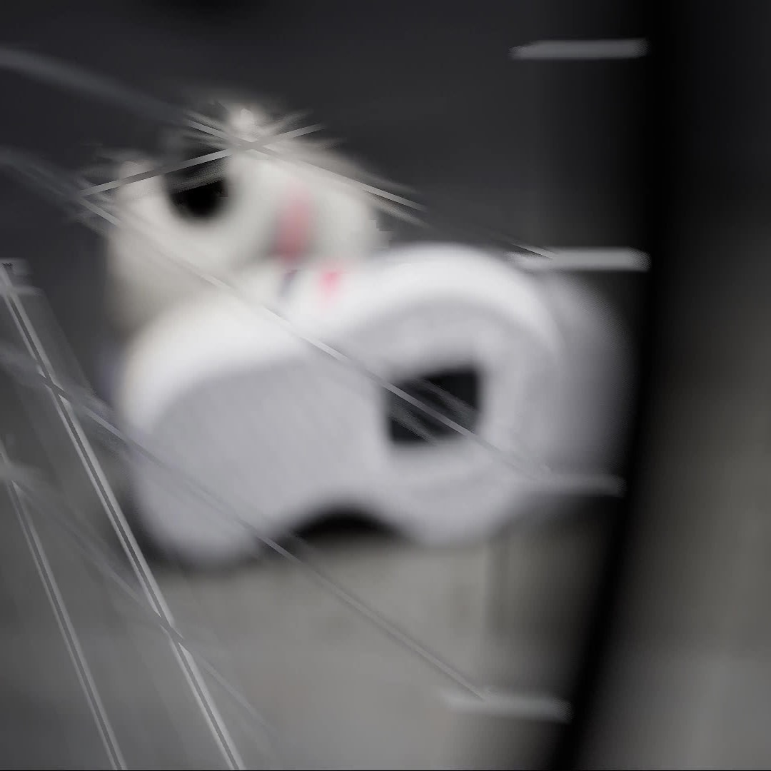 Adidas Samba sneaker Chalk White / Lucid Red / Dark Blue