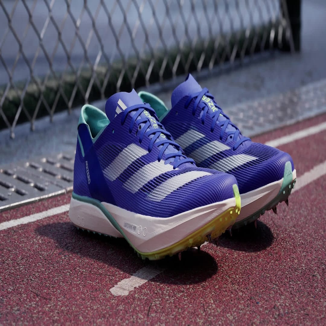Adidas  sneaker Cobalt Blue / Zero Metalic / Lucid Lemon