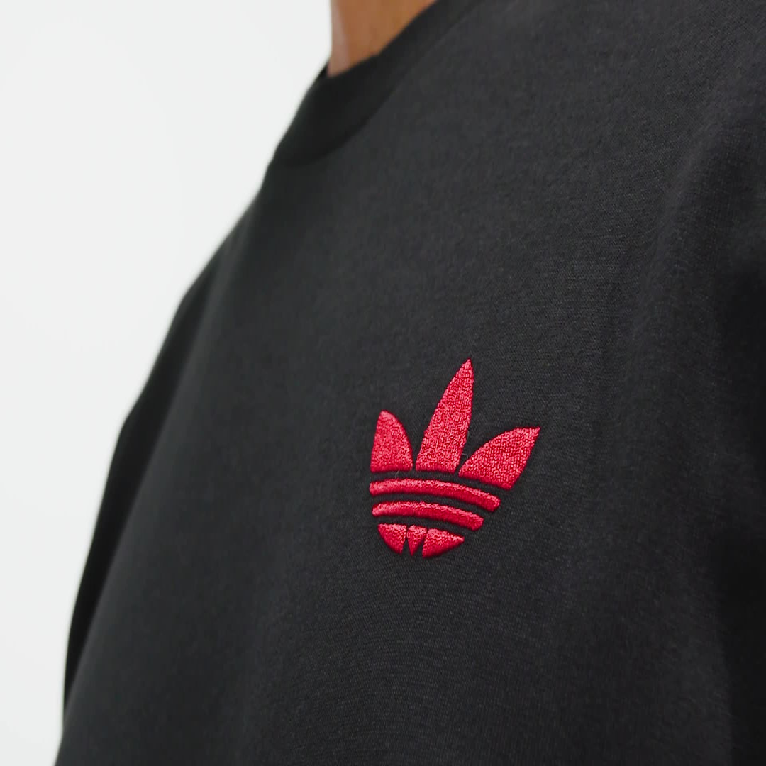 Adidas Ajax Amsterdam Graphic Longsleeve