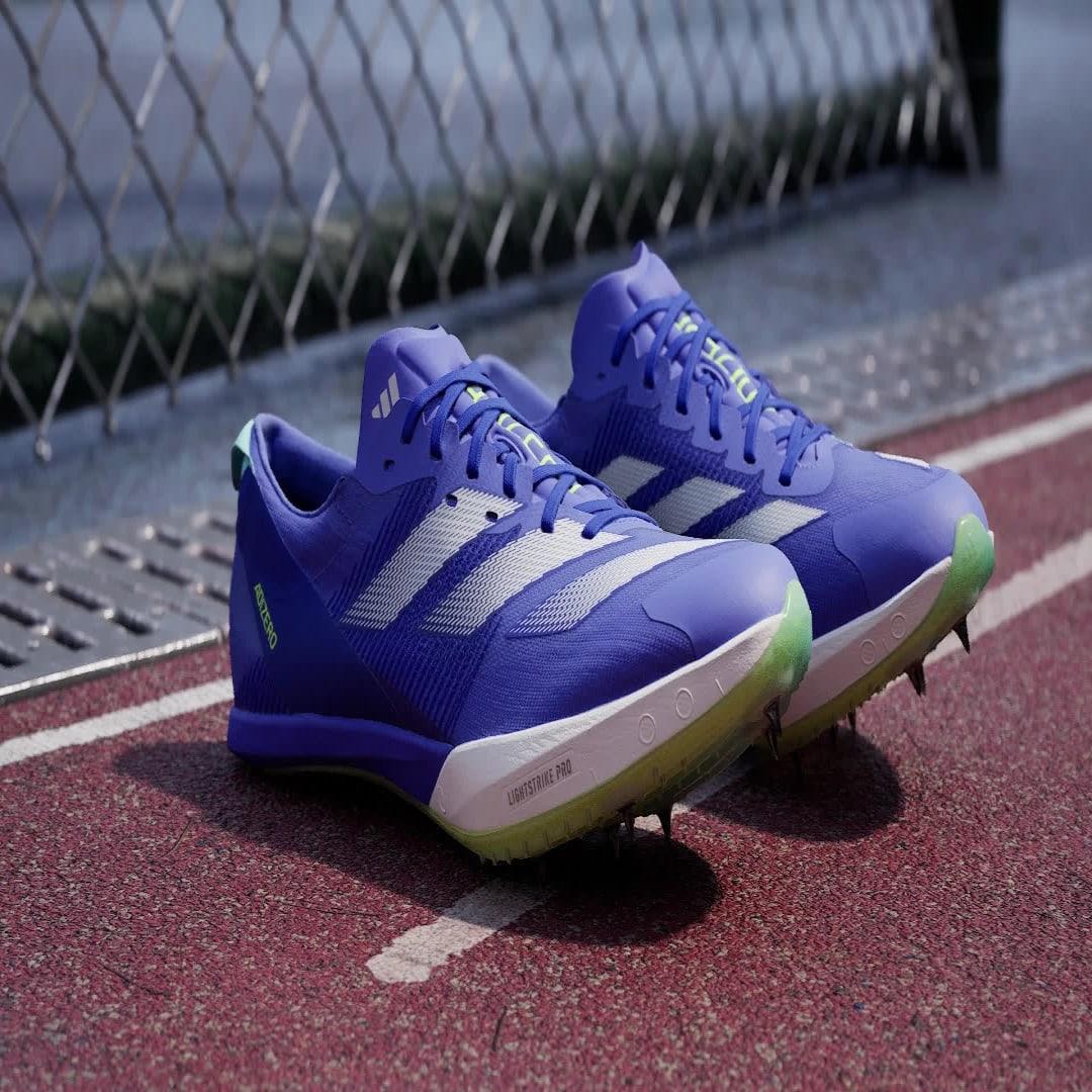 Adidas  sneaker Cobalt Blue / Zero Metalic / Aurora Ink