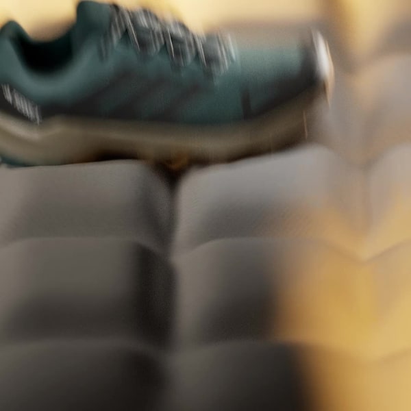 Verde Zapatilla de senderismo Terrex Skychaser Ax5