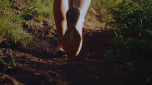 Naranja Tenis Terrex Agravic Speed Ultra Trail Running