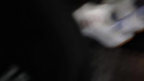 Bianco Scarpe da allenamento Everyset