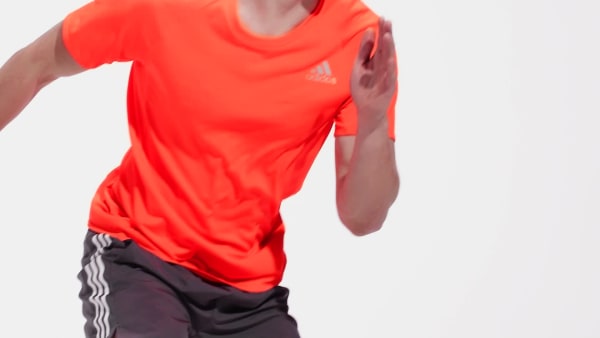 Rojo Polo Runner GZT75