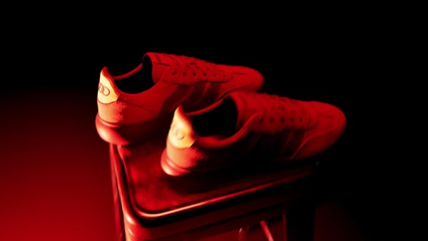 Bruin BARREDA DECODE AUDI REVOLUT F1 TEAM SCHOENEN