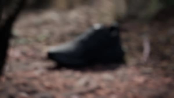 Zwart Terrex Soulstride RAIN.RDY Trail Running Schoenen