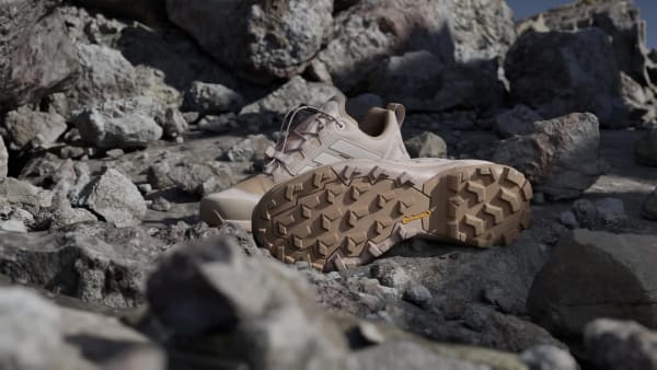 Kahverengi Terrex Skychaser GORE-TEX Yürüyüş Ayakkabısı