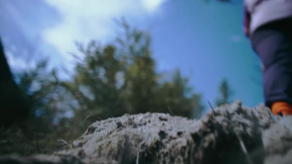 Fioletowy Buty Terrex Anylander Rain.Rdy Hiking