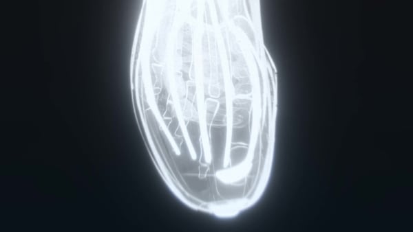 White Adizero Adios Pro 4 Shoes