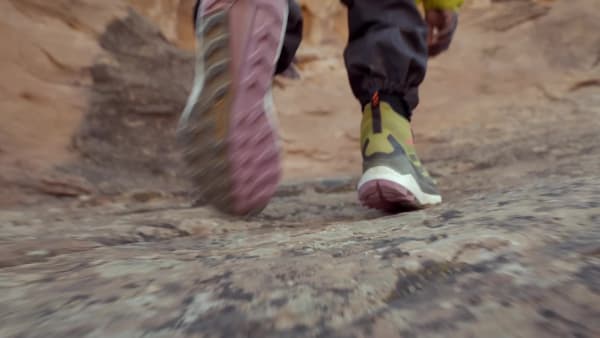Gron TERREX Free Hiker 2 GORE-TEX Hiking Shoe