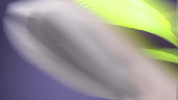 Yellow 아디제로 보스턴 13 M