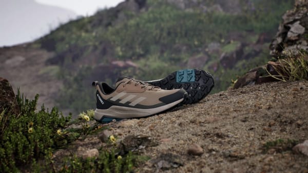 Brown Terrex Anylander Hiking Shoes
