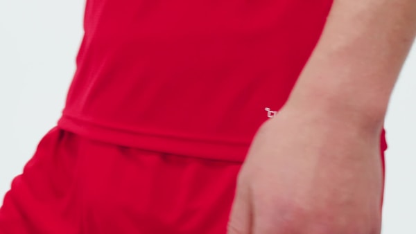 Vermelho Camisa I Torcedor País de Gales 26