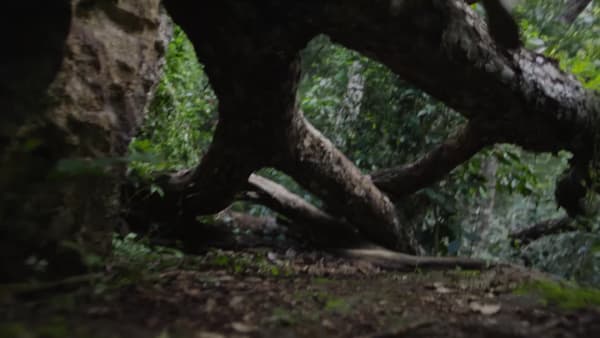 zelená Turistická obuv Terrex Skychaser AX5 GORE-TEX