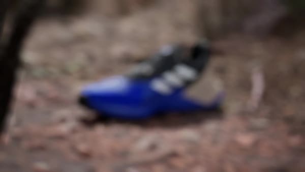 Blue Terrex Soulstride RAIN.RDY Trail Running Shoes