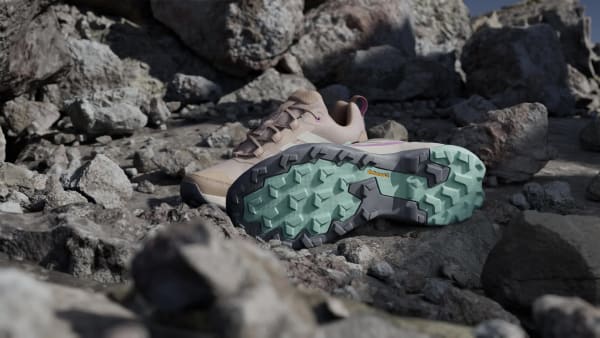 Marron Zapatilla Terrex Skychaser AX5 GORE-TEX Hiking