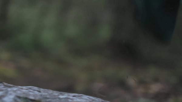 Preto Sapatilhas de Trail Running Soulstride TERREX