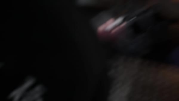 Negro Zapatilla de halterofilia The Total