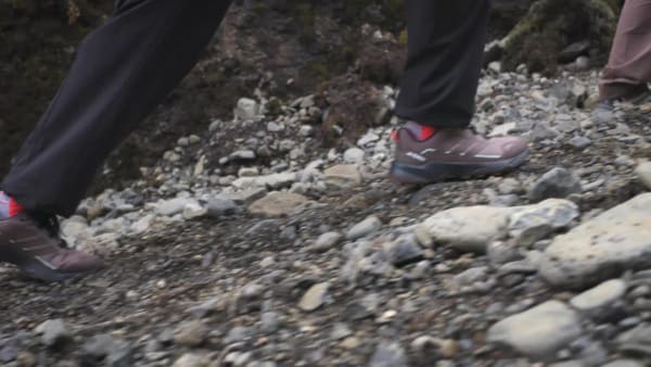 Braun Terrex Skychaser AX5 GORE-TEX Wanderschuh