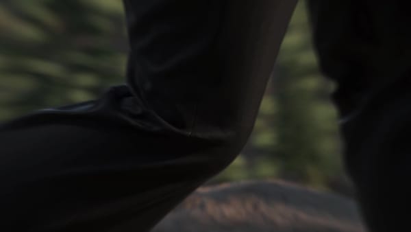 Noir Pantalon Terrex Liteflex Hiking