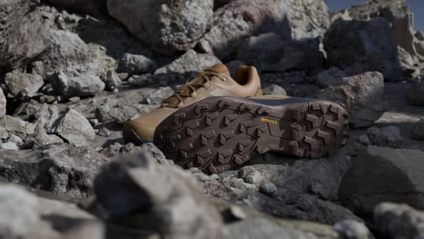 Marron Zapatilla de senderismo Terrex Skychaser Ax5