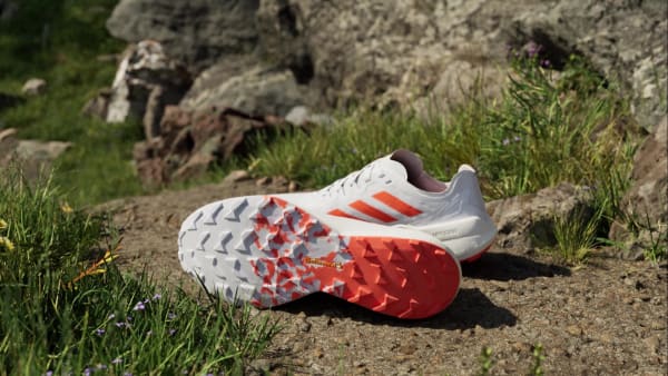 Gris Tenis de Trail Running Terrex Agravic Speed